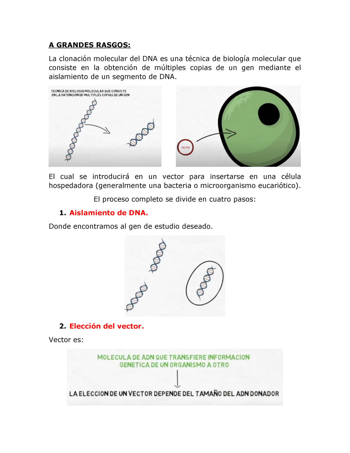 Clonacion molecular - Biología celular - IPN UPIIG - Studocu