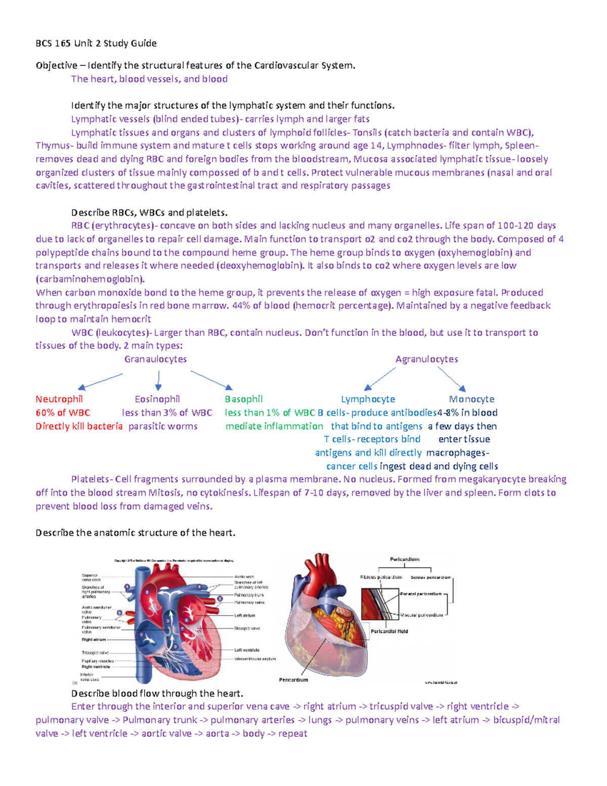 BCS 165 Unit 2 Study Guide - BCS 165 Unit 2 Study Guide Objective ...