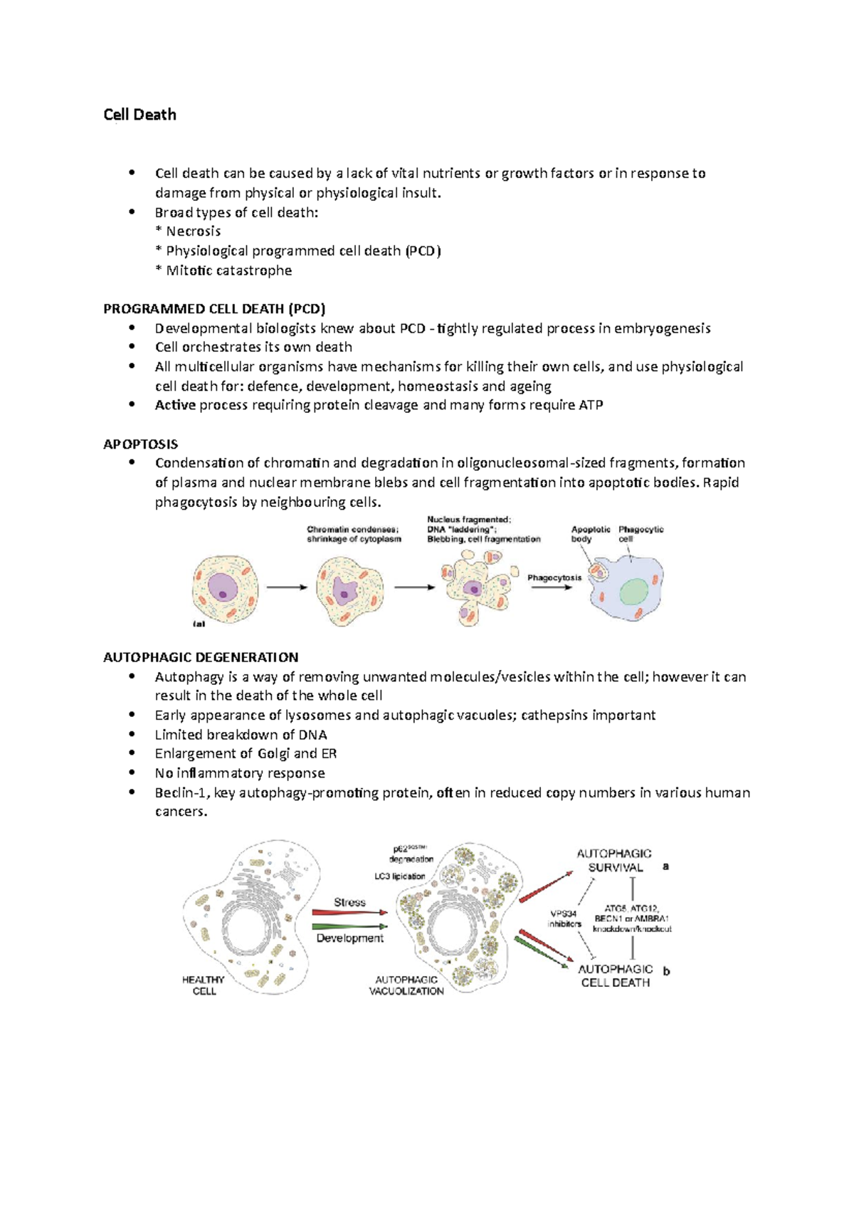 Cell death - Lecture notes 4-5 - Cell Death Cell death can be caused by ...