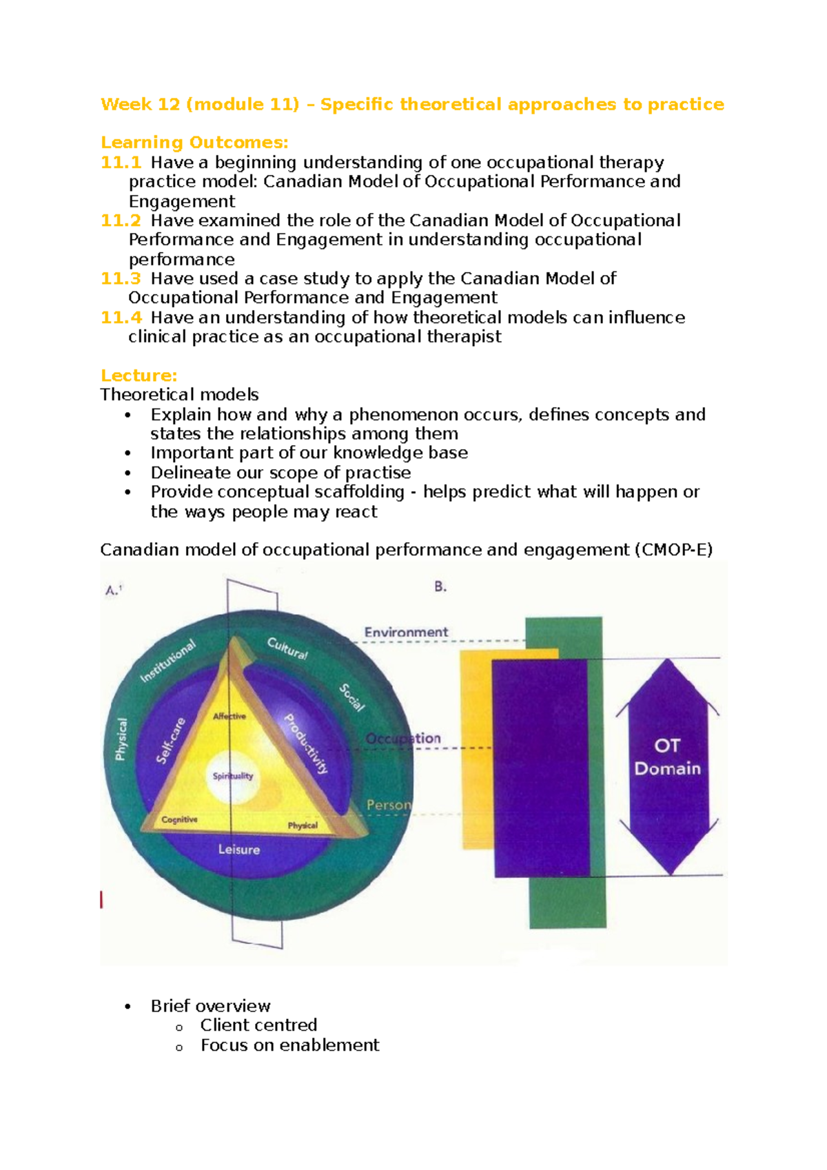 Canadian Model of Occupational Performance (CMOP-E). Published with