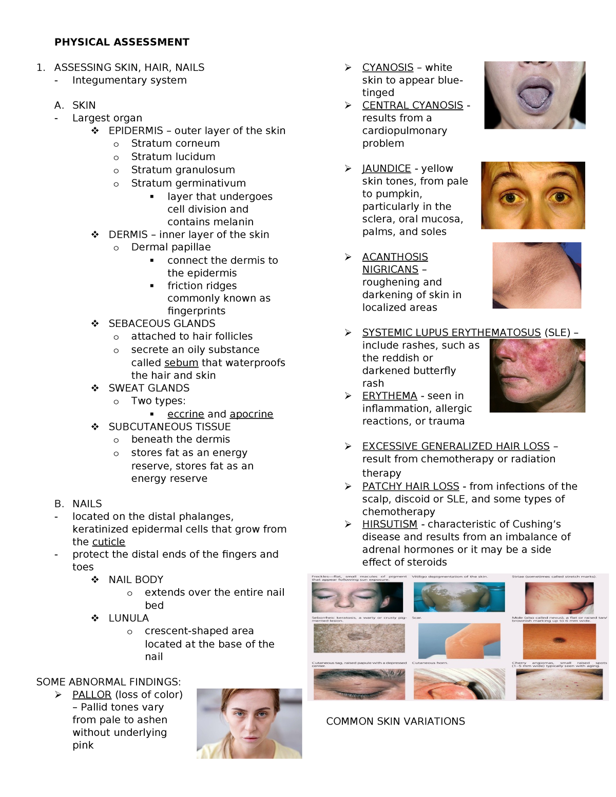 HA LEC Notes ( Midterms) - PHYSICAL ASSESSMENT 1. ASSESSING SKIN, HAIR ...