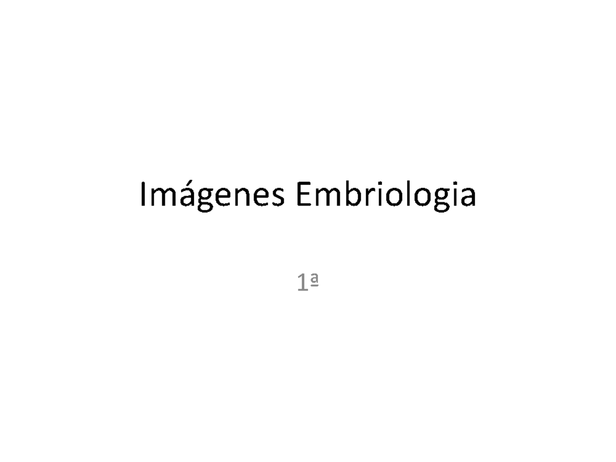 ejercicio-de-seminario-im-genes-embriologia-perimetrio-miometrio