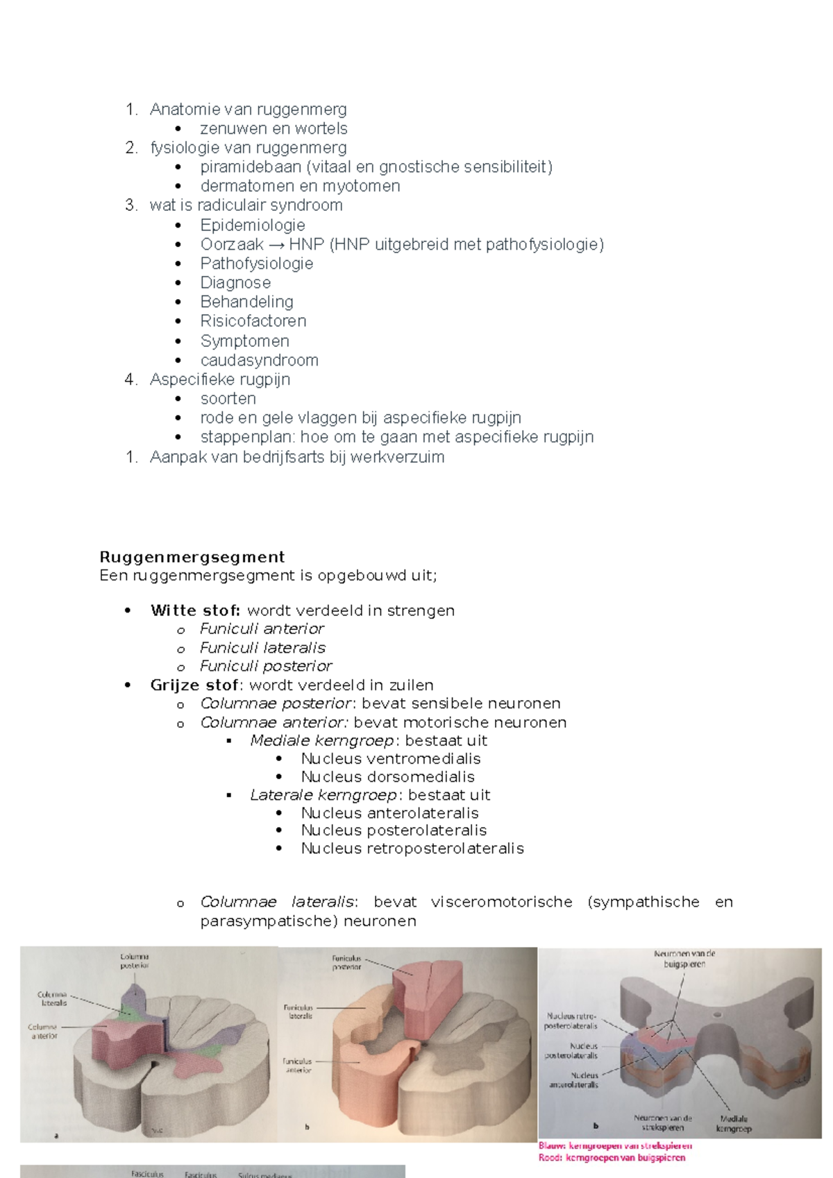 Denken en doen casus 2 jaar 2 - 1. Anatomie van ruggenmerg zenuwen en ...