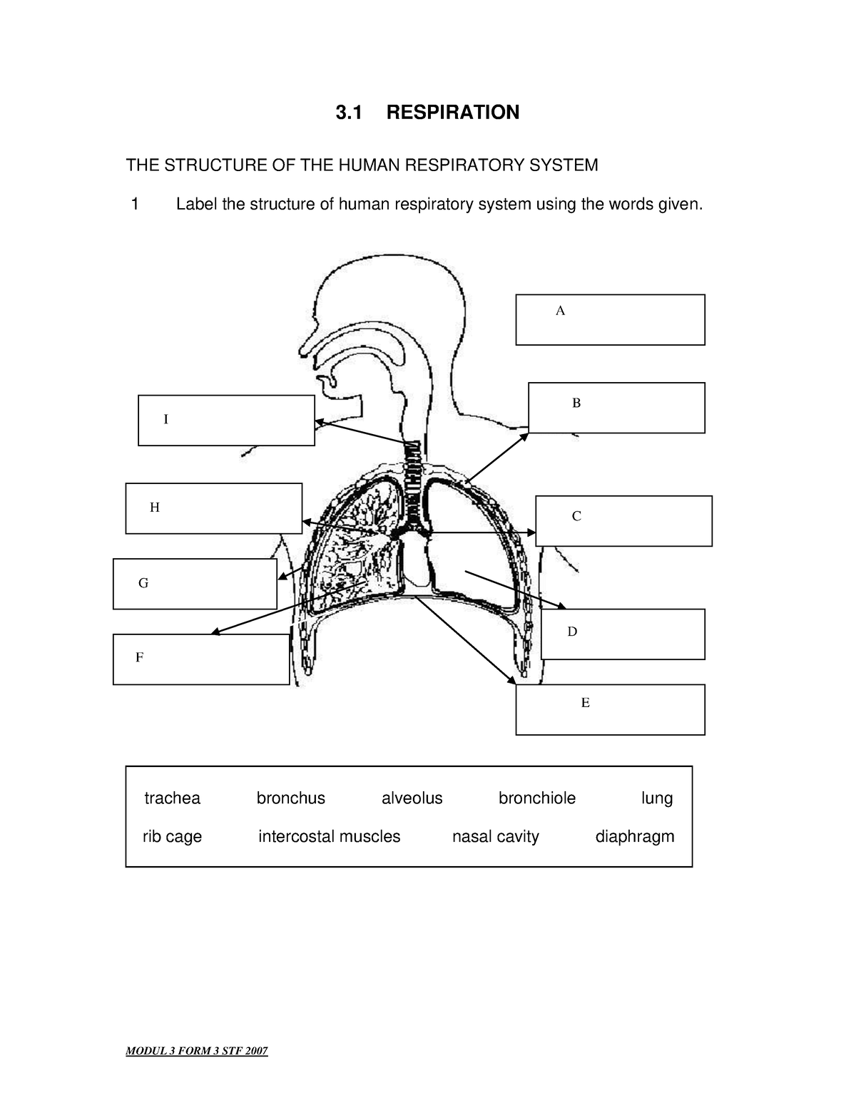 Toaz - Tutor - 3 RESPIRATION THE STRUCTURE OF THE HUMAN RESPIRATORY ...