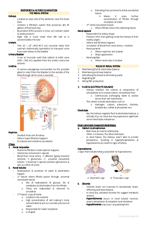 RESPONSES TO ALTERED VENTILATORY FUNCTIONS - Lungs and lobes Right lung ...