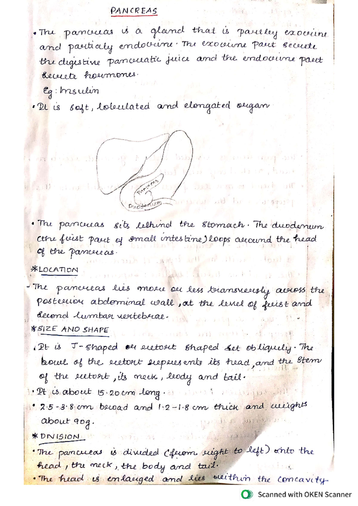 Pancreas Lecture short notes for allied health sciences students