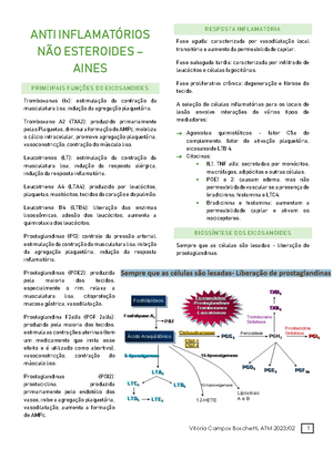 Anti Inflamatórios Esteróides - ANTI-INFLAMATÓRIOS ESTEROIDAIS - AIES F ...