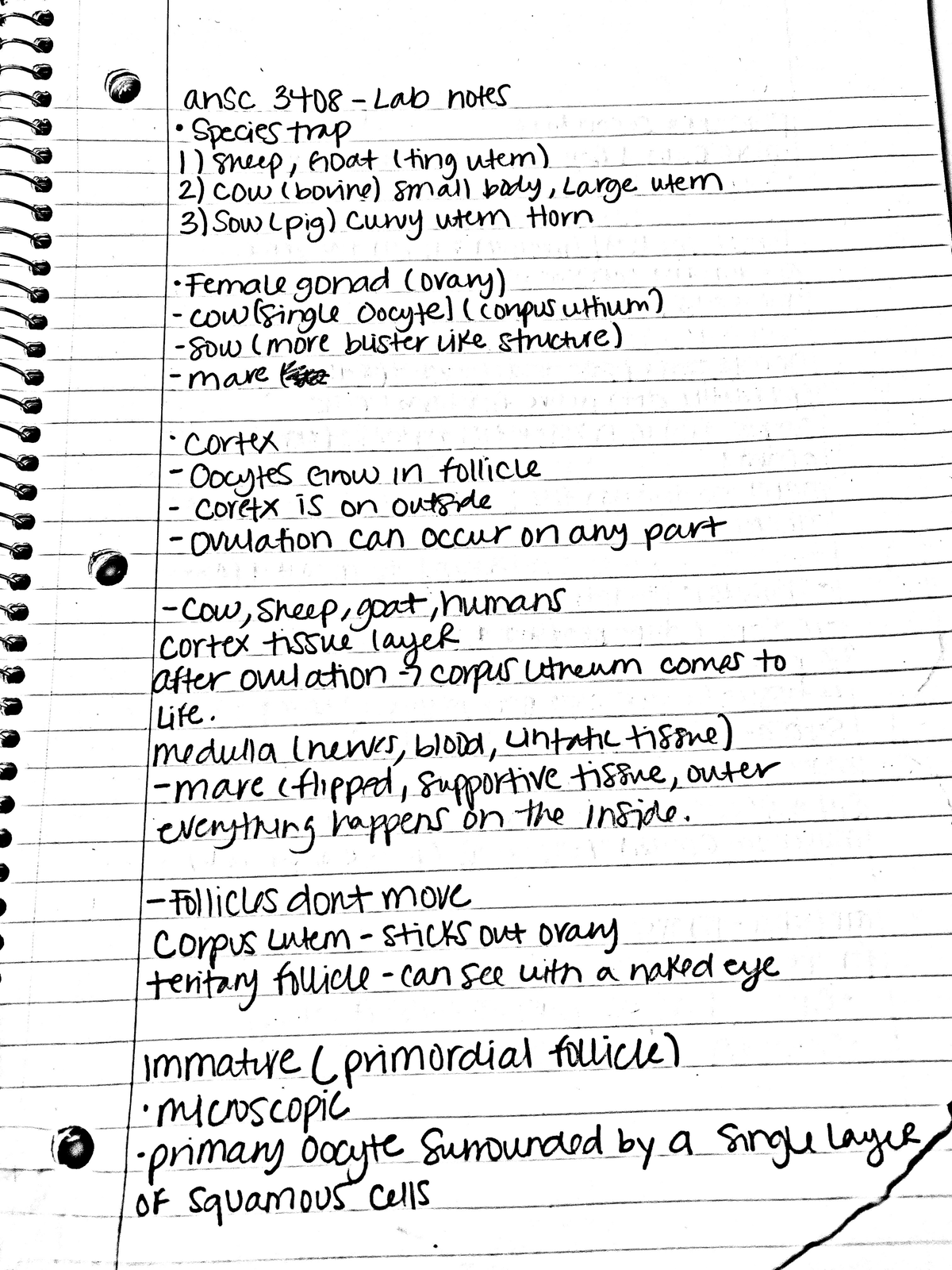 ANSC 3408 - Lab notes - Agri 1419 - Studocu