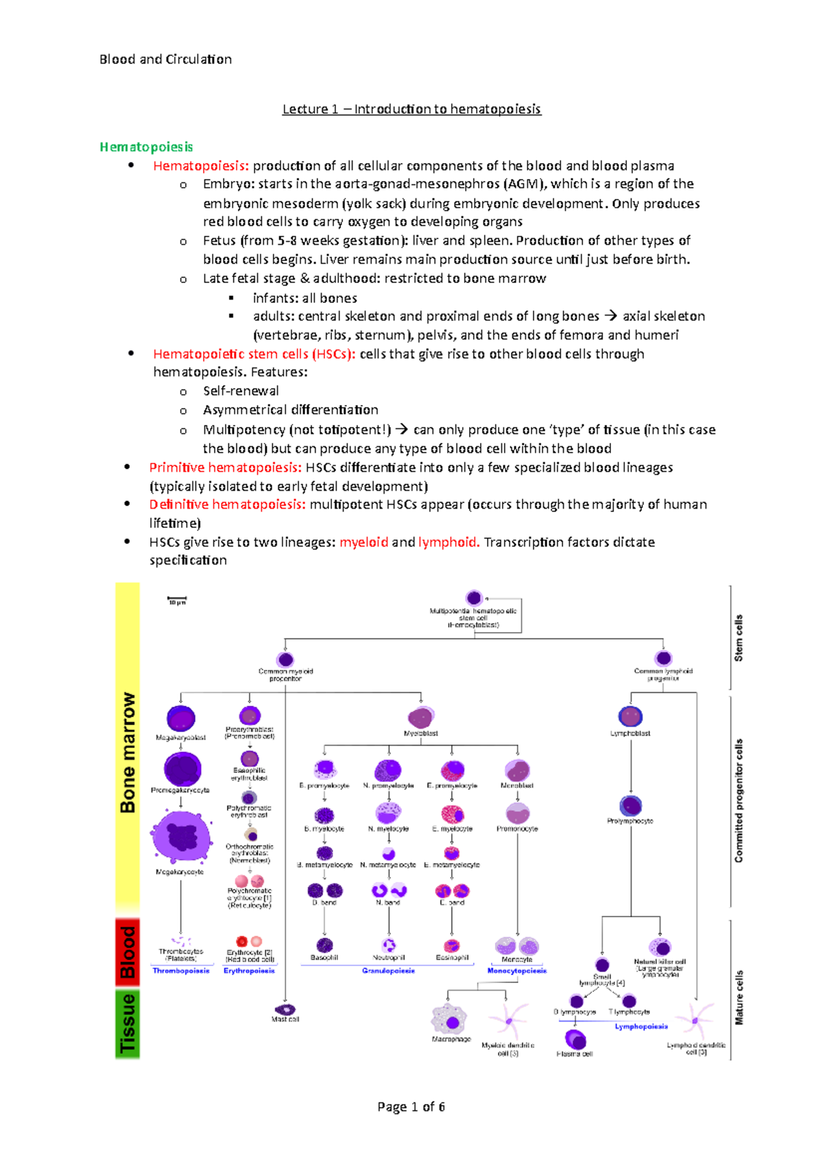 Lecture 1 Notes - Blood And Circulmation - Lecture 1 – Introduction To ...