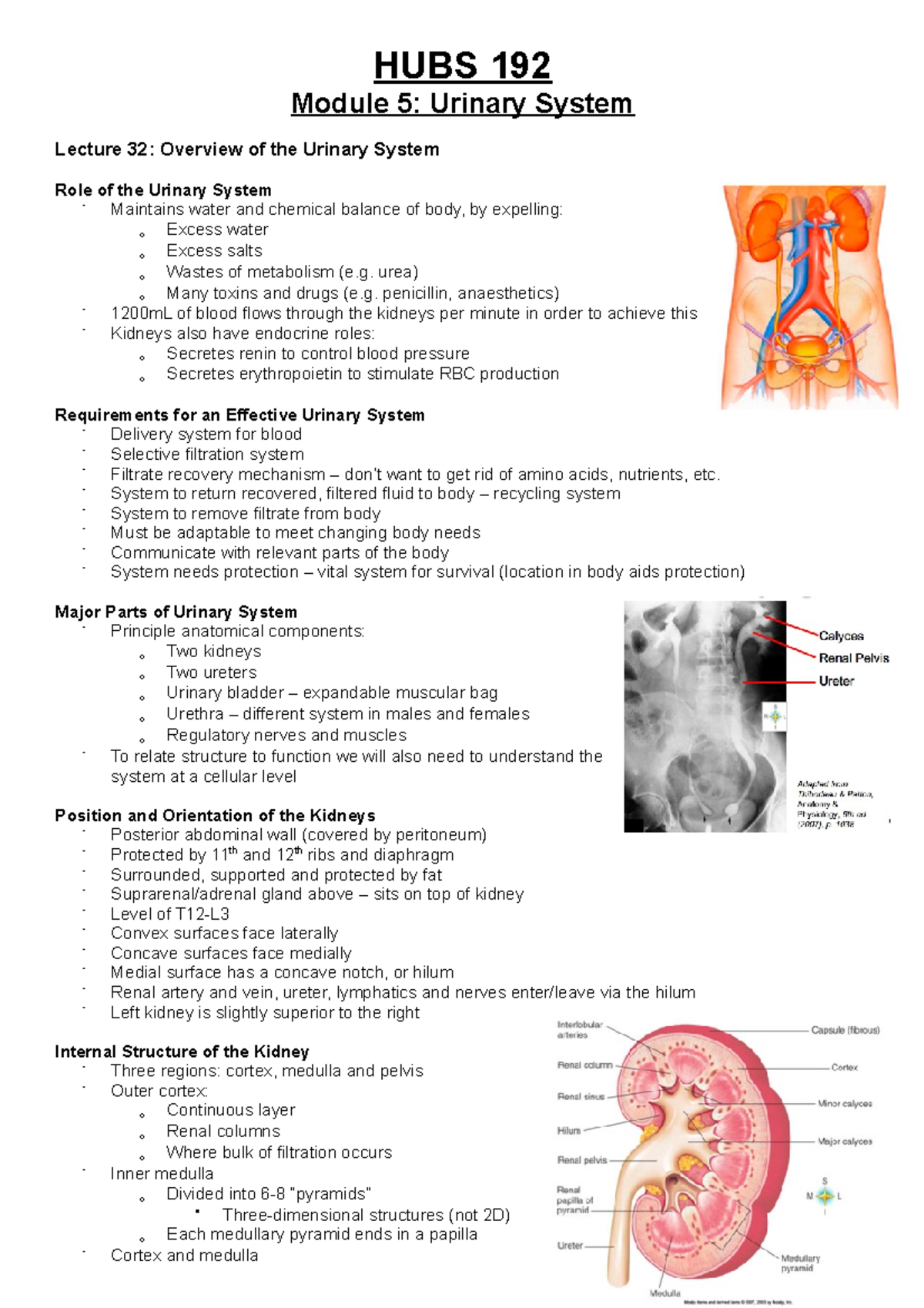 HUBS 192 Lecture Notes Urinary System - HUBS 192 Module 5: Urinary ...