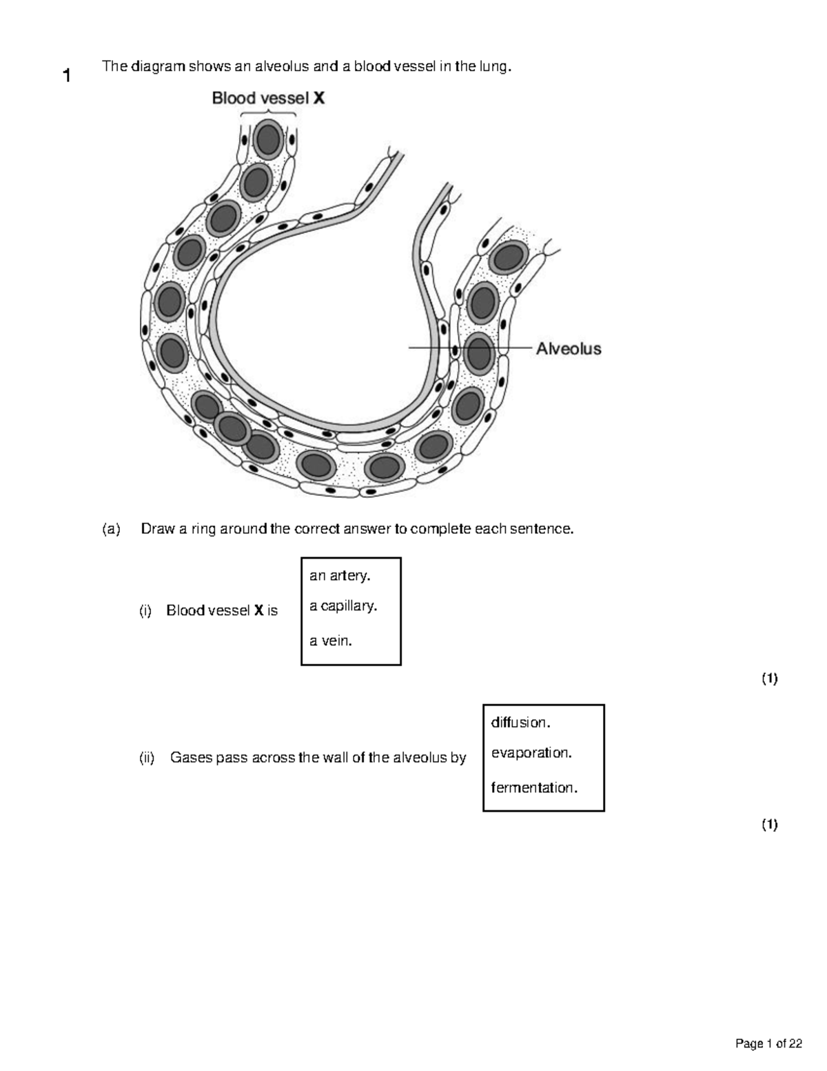 Set 1 Cell Biology Grades 1 3 The Diagram Shows An Alveolus And A