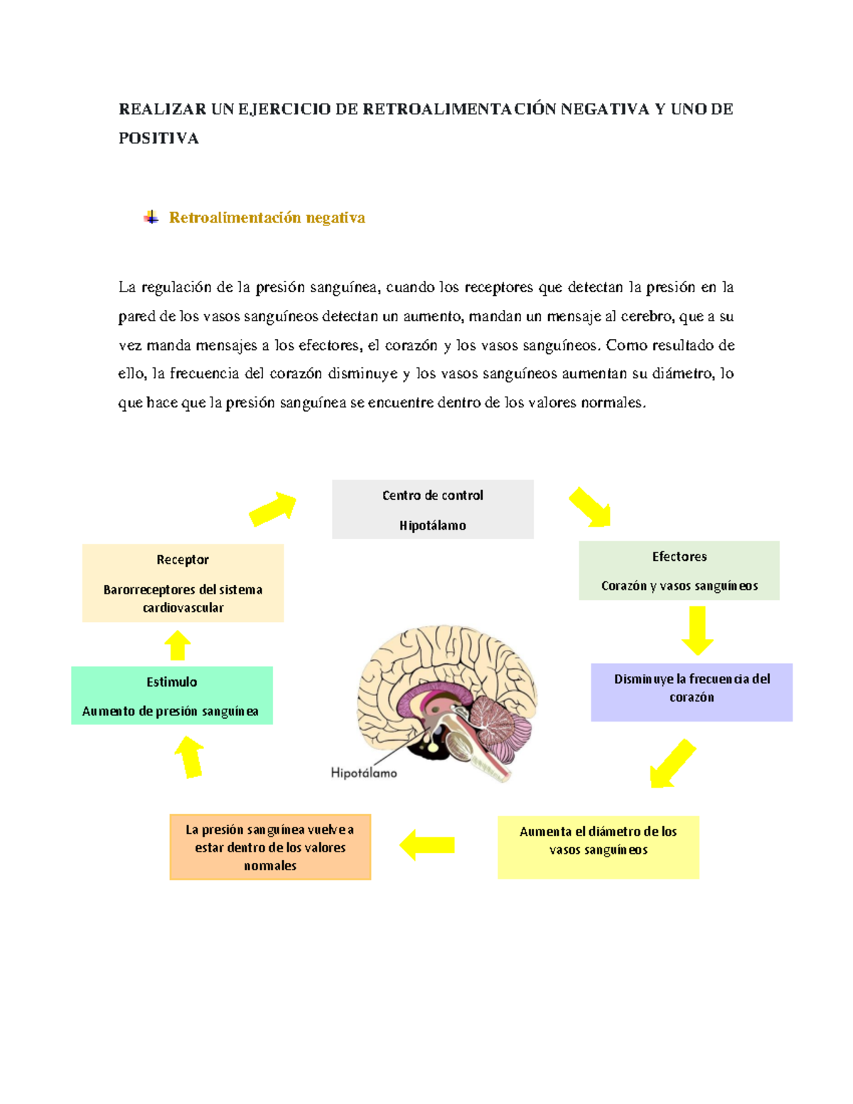 fisiol-gicamente-hablando-tema-3-sistemas-de-control