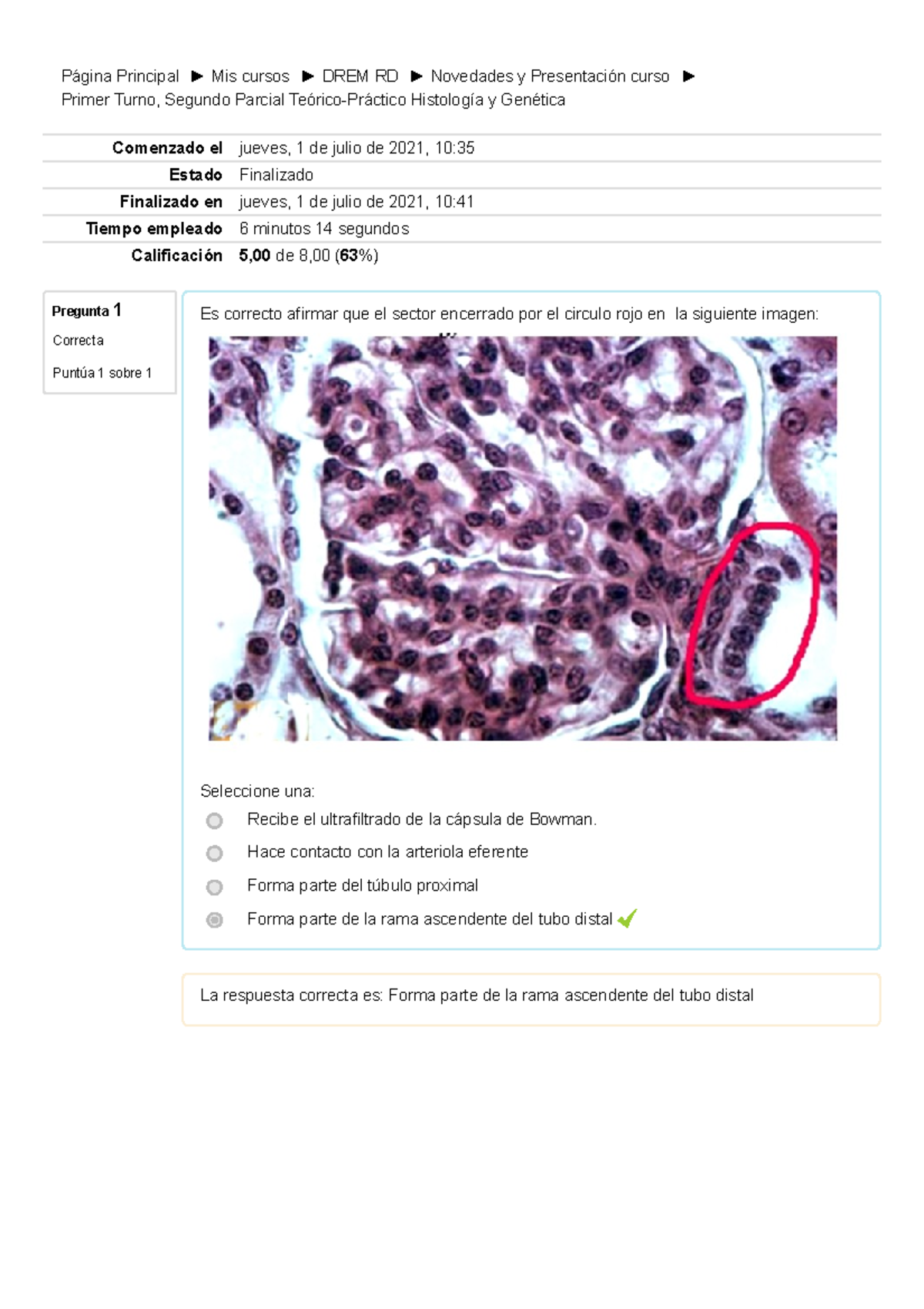 Primer Turno, Segundo Parcial Teórico-Práctico Histología Y Genética ...