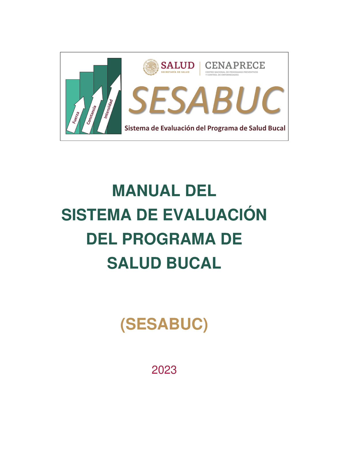 Manual Indicadores Sesabuc Manual Del Sistema De Evaluaci N Del Programa De Salud Bucal