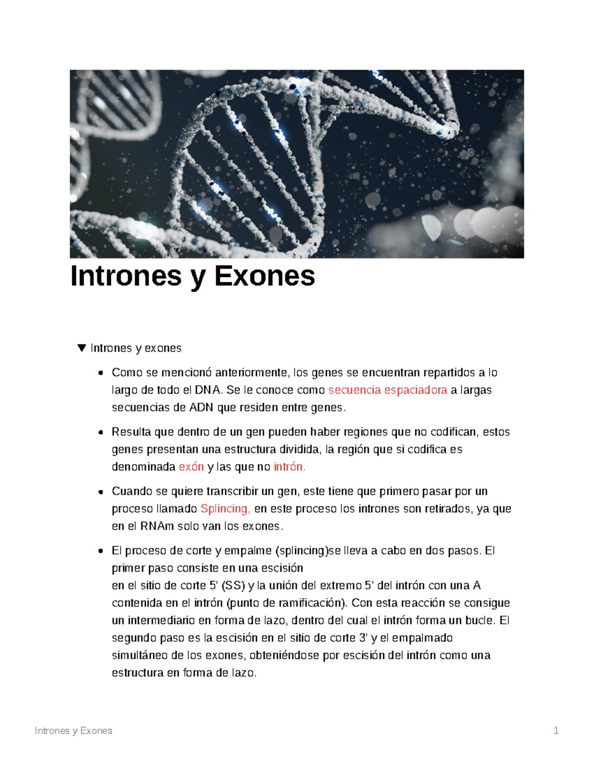 Intrones y Exones - En este documento se habla de que es un exón y un ...