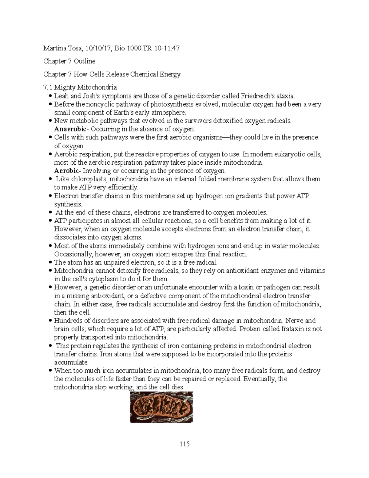 BIo outline chp 7 - chapter 7 - Martina Tosa, Bio TR Chapter 7 Outline ...