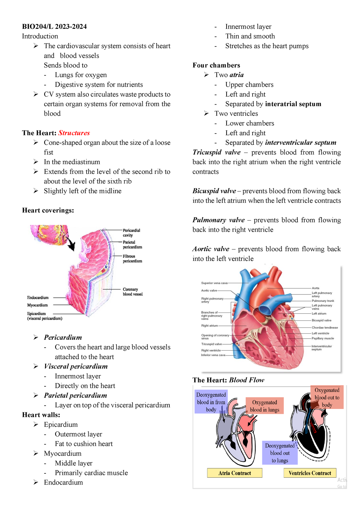 Cardio- Reviewer - BIO204/L 2023 - 2024 Introduction The Cardiovascular ...