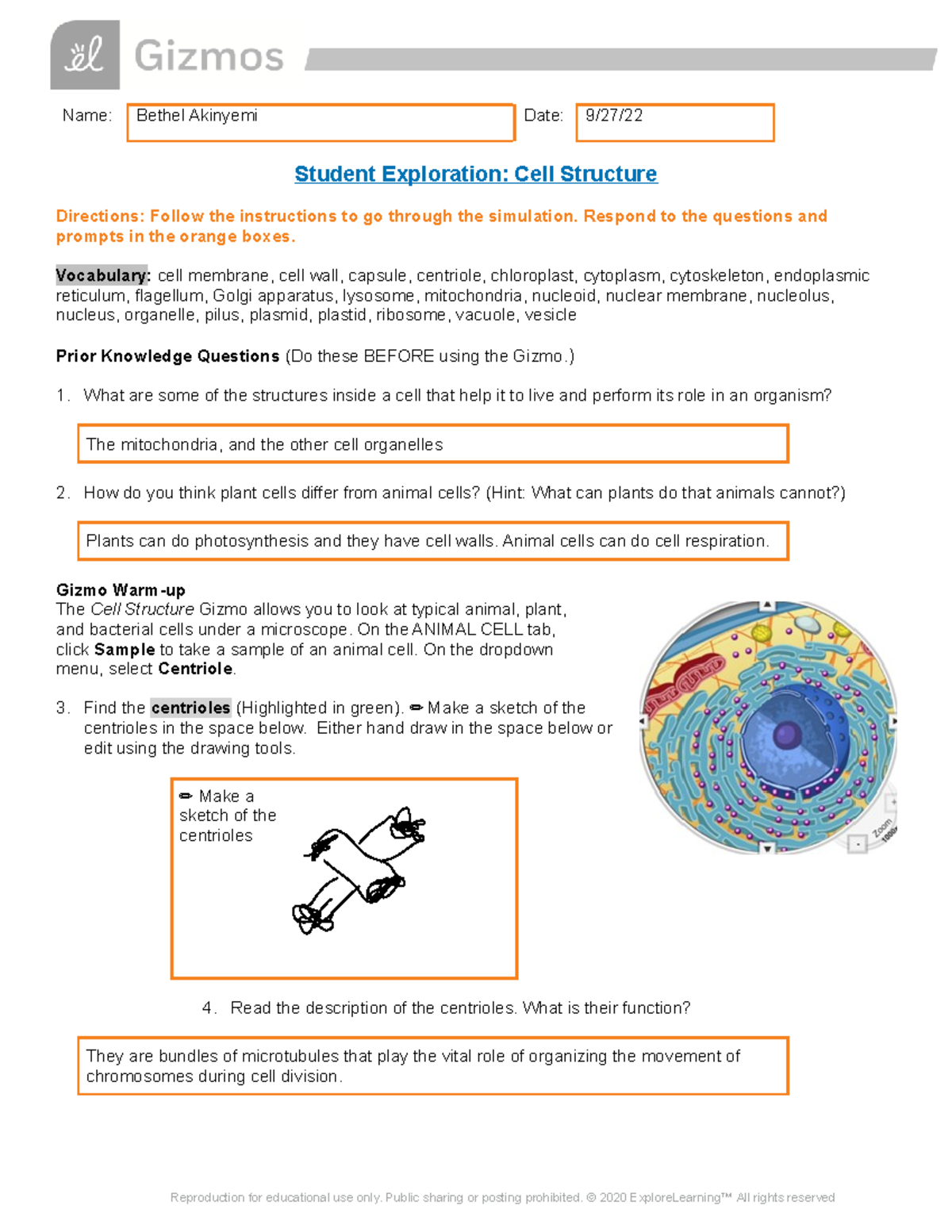 Bethel S Gizmo - Cell Structure Activity - Name: Bethel Akinyemi Date ...