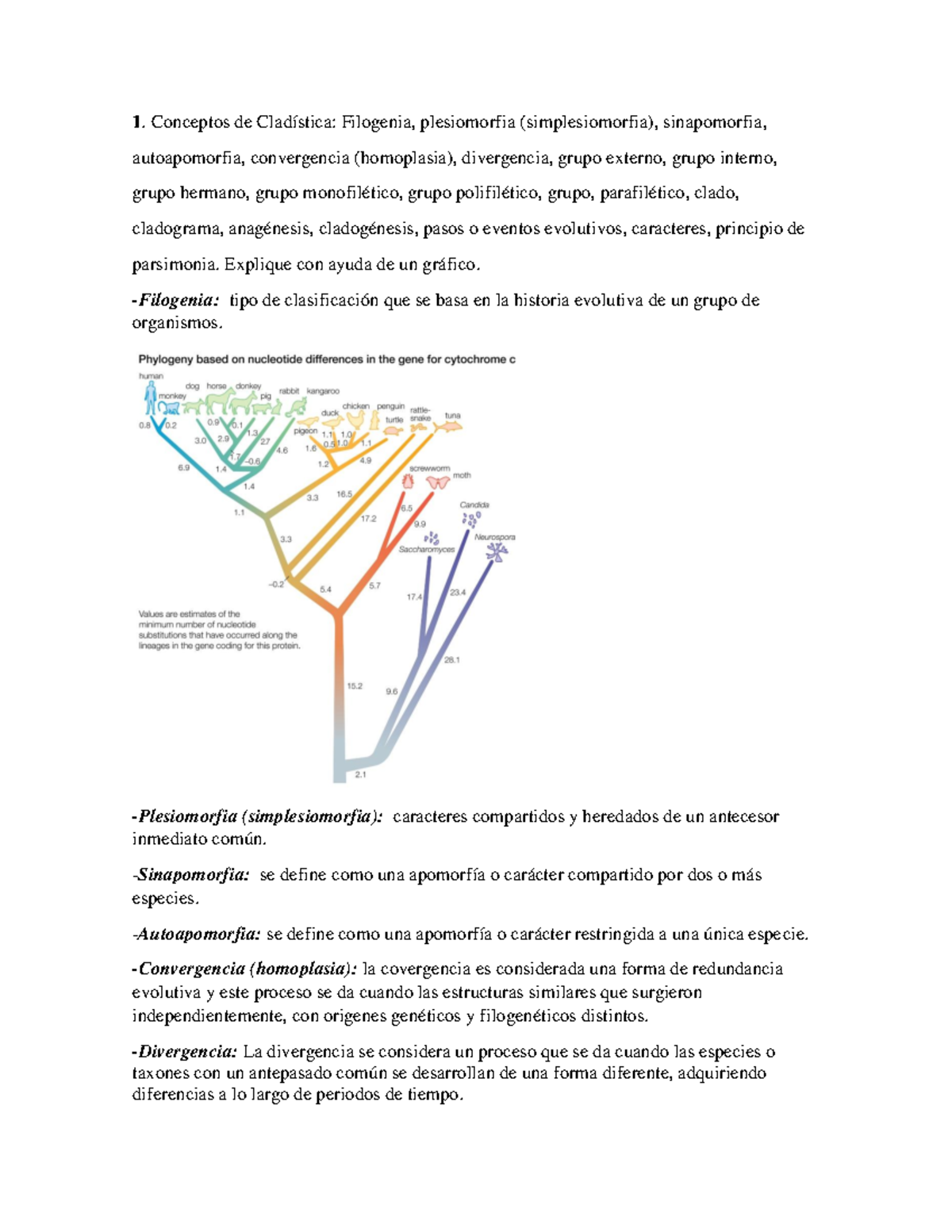 Taller- Ana María - 1. Conceptos de Cladística: Filogenia, plesiomorfia ...