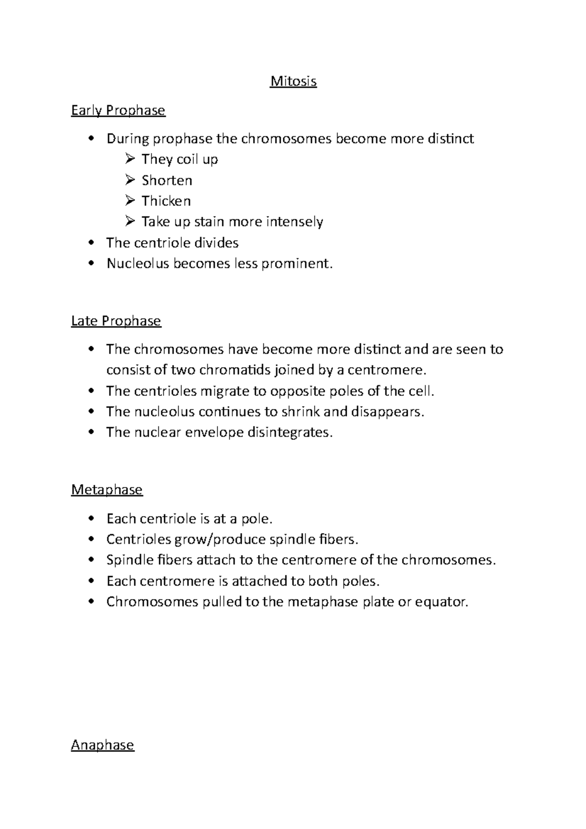 Mitosis 2 - Mitosis Early Prophase During prophase the chromosomes ...