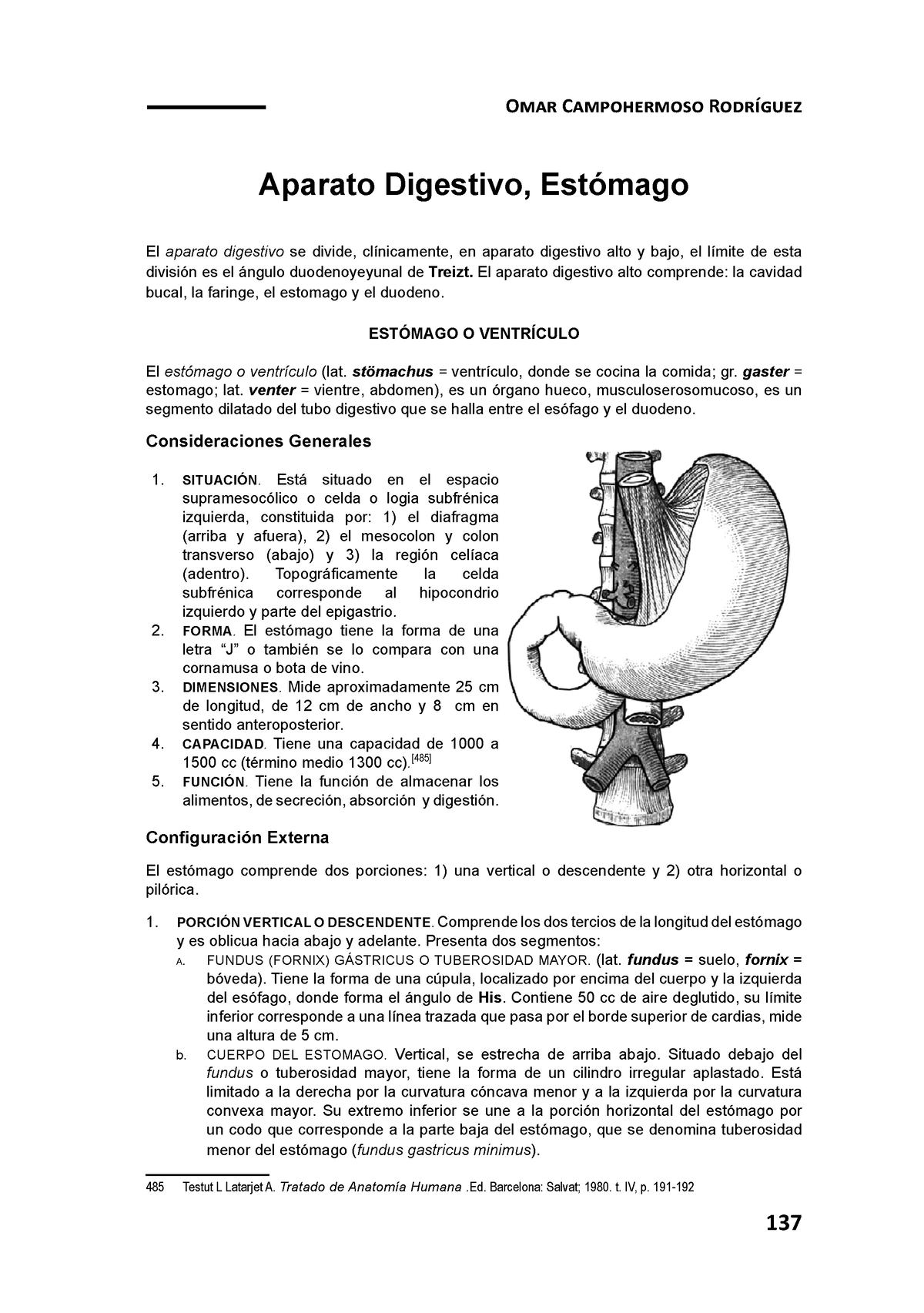 Estomago Anatomia Fisiológico Omar Campohermoso Rodríguez Aparato Digestivo Estómago El 9880