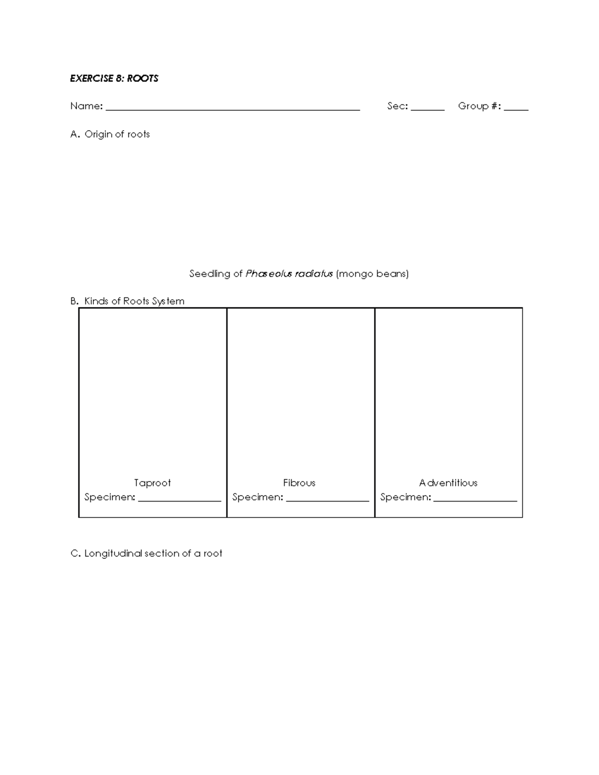 Exercise 8 Lab Sheet - EXERCISE 8: ROOTS Name