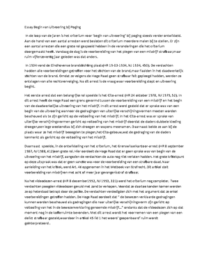 Argumentatie in uitvoering essay image