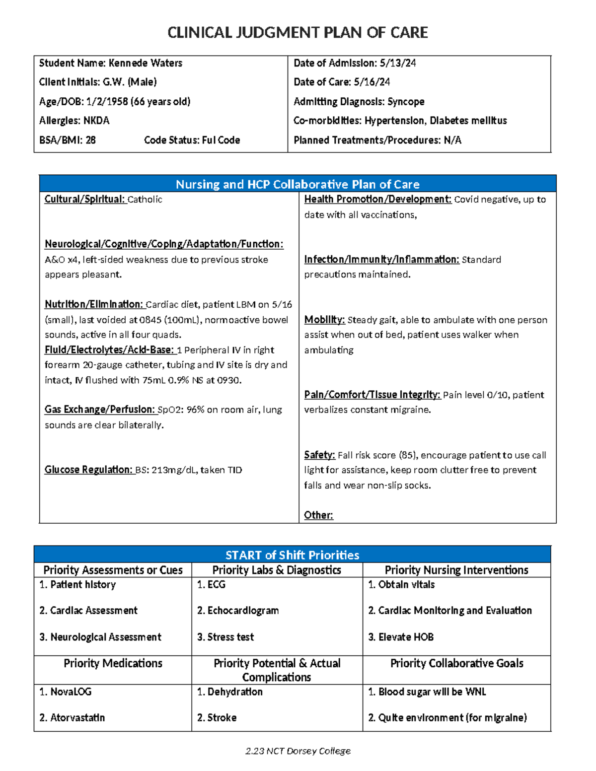 Clinical Judgement Plan of Care - CLINICAL JUDGMENT PLAN OF CARE ...
