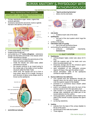 Anaphy Skeletal System - Prelim |HUMAN ANATOMY & PHYSIOLOGY WITH ...