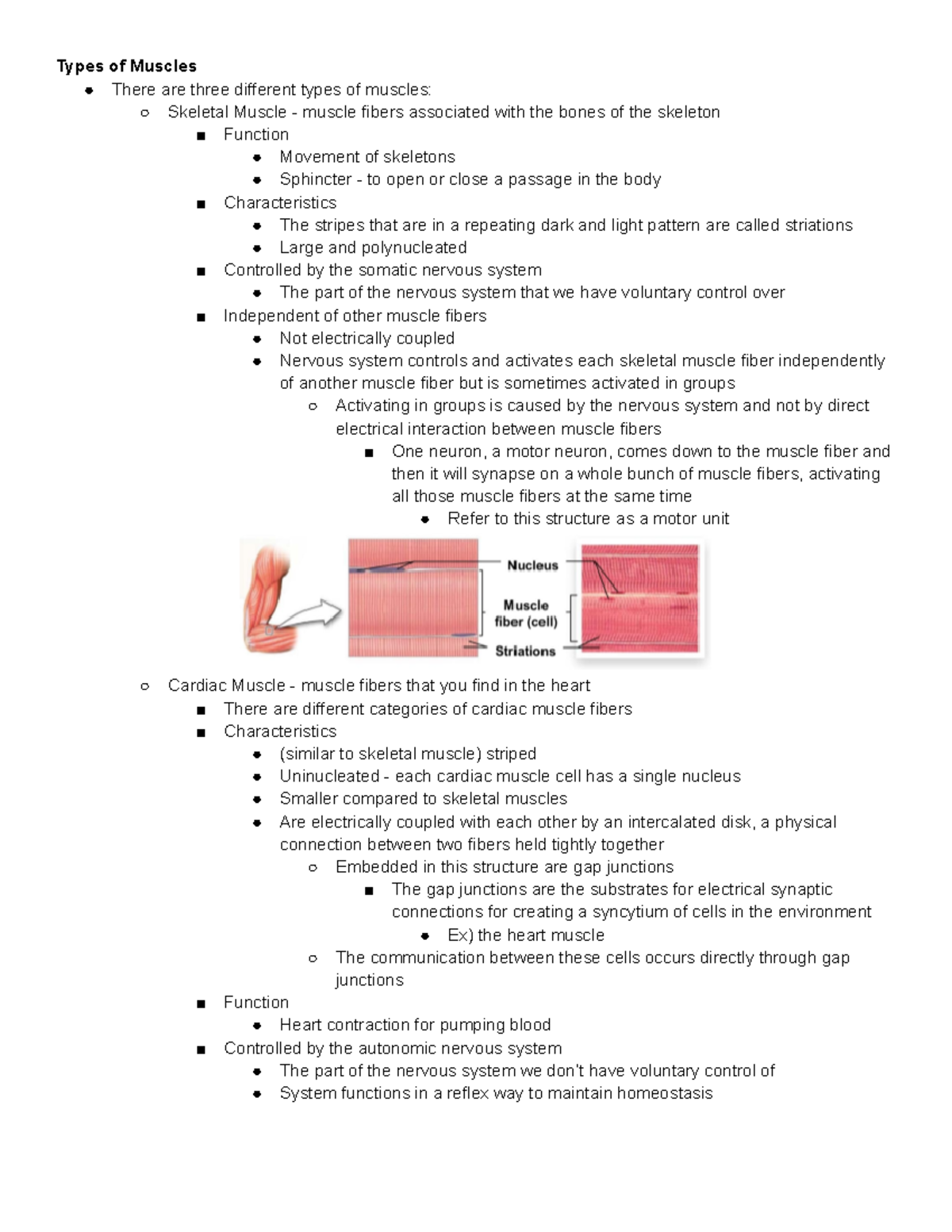 Lecture 9 - Skeletal Muscle (Module 5) - Types of Muscles There are ...