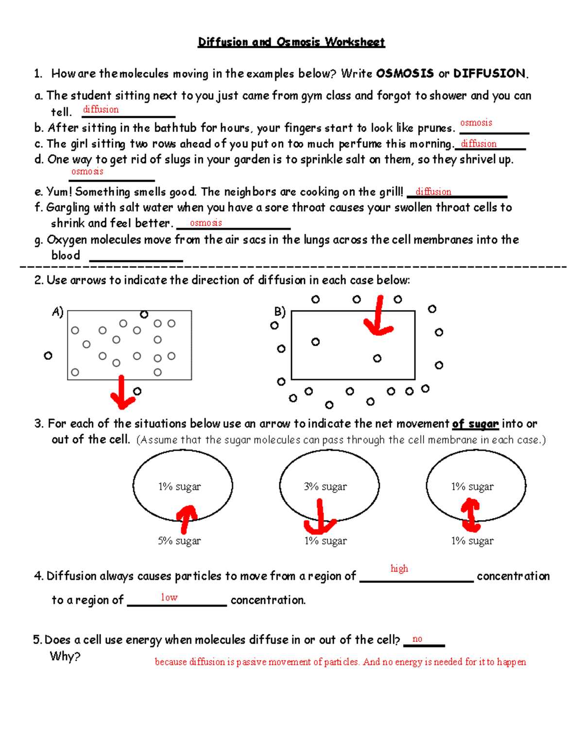 Diffusion and Osmosis Worksheet sovspg - DEV BIO 22B - Cell Intended For Diffusion And Osmosis Worksheet Answers