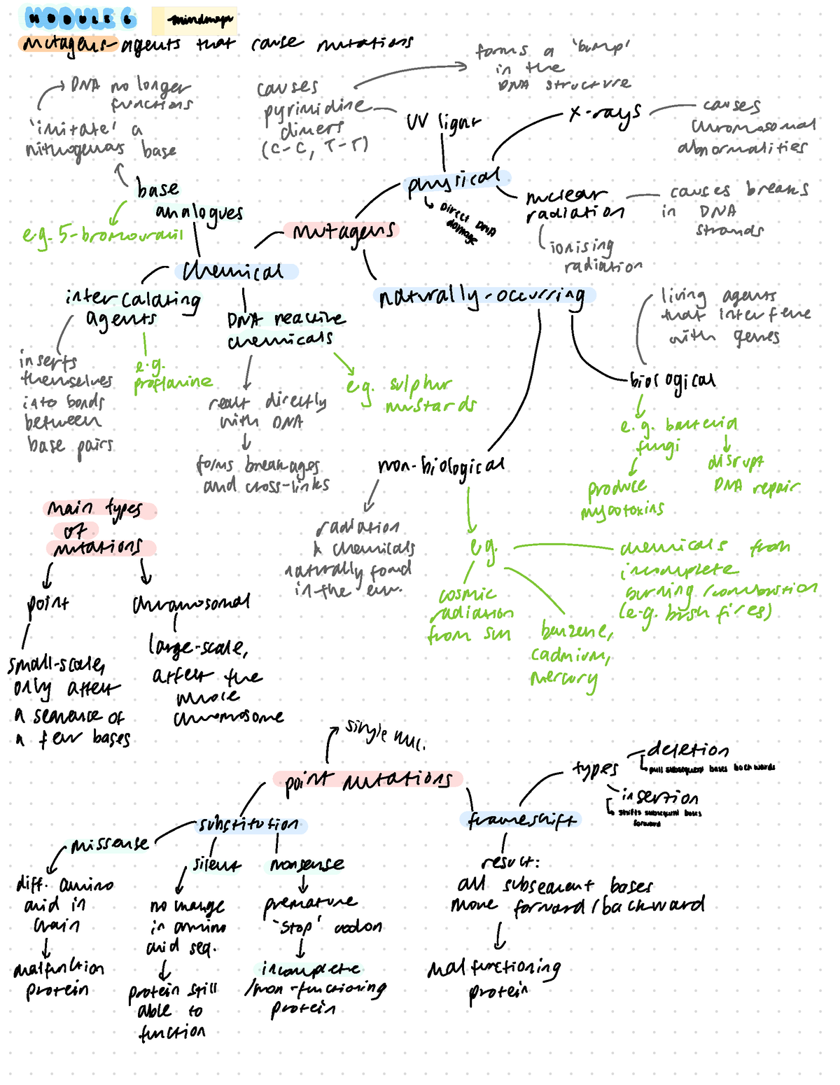 Good Notes - Mutagens- agents that cause mutations causes - forms a ...