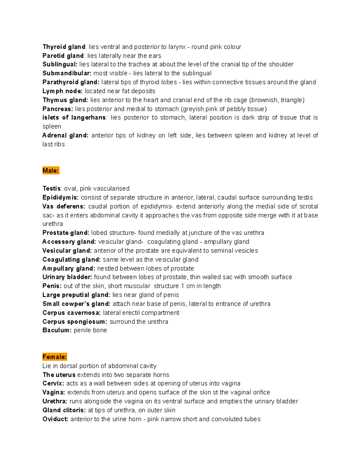 Rat lab Answer key Thyroid gland lies ventral and posterior to
