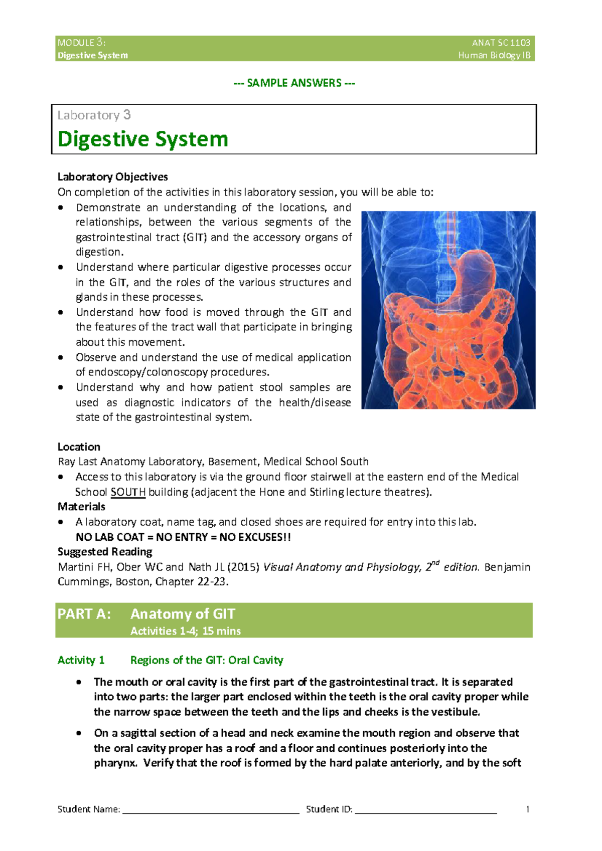 2019 HBIB Lab 3 Digestive System- Answers - MODULE 3 : ANAT SC 1103 ...