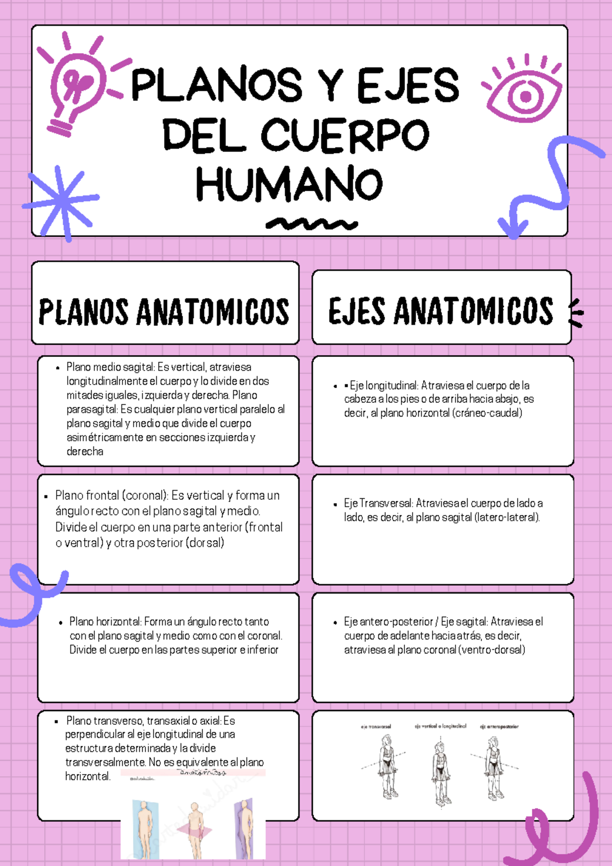 Planos y ejes anatomicos para estudiar mejor - EJES ANATOMICOS Plano ...