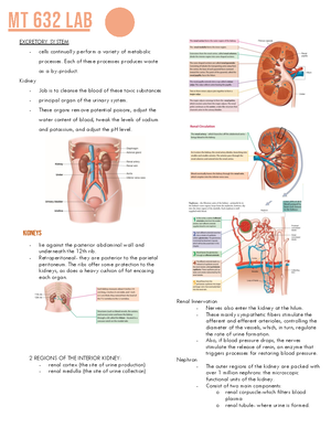 Guyton Physiology 14th edition CHAPTERS 48 and 49 - Philippians 2:4 ...