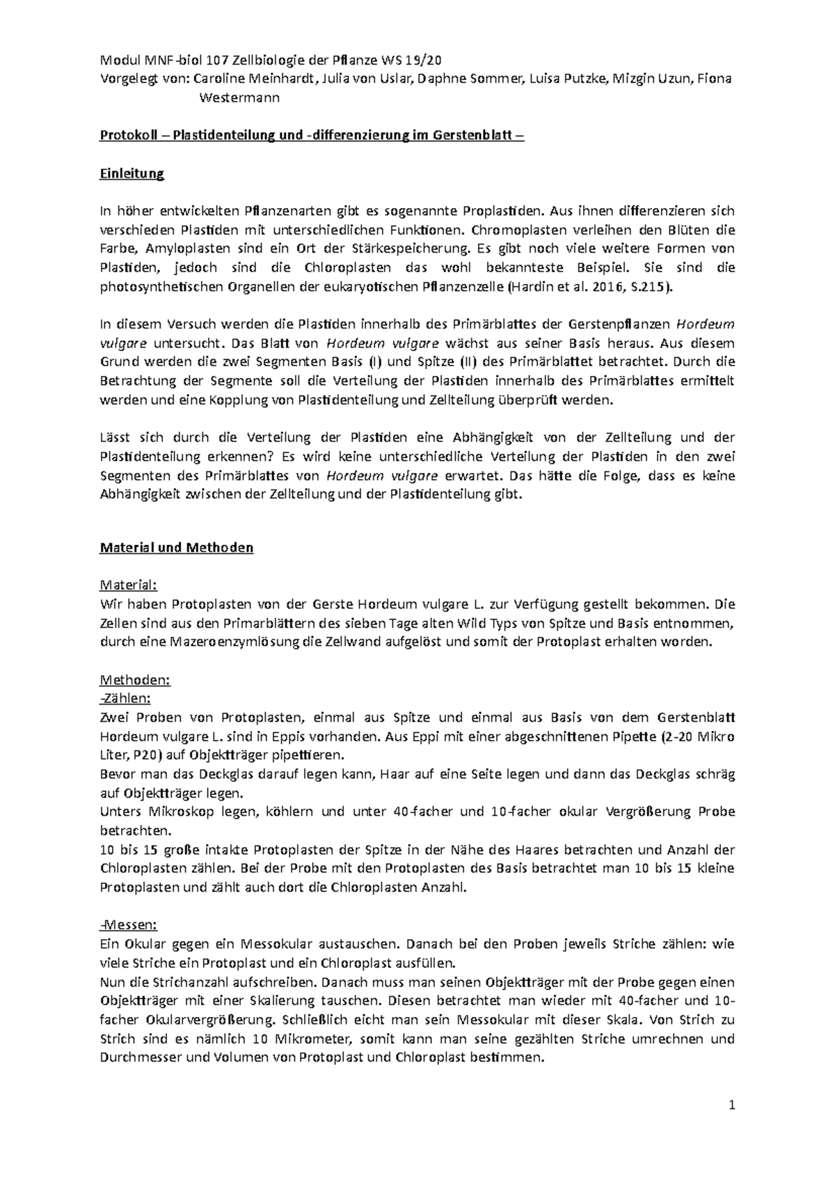 Protokoll Des Glcks Pflanze