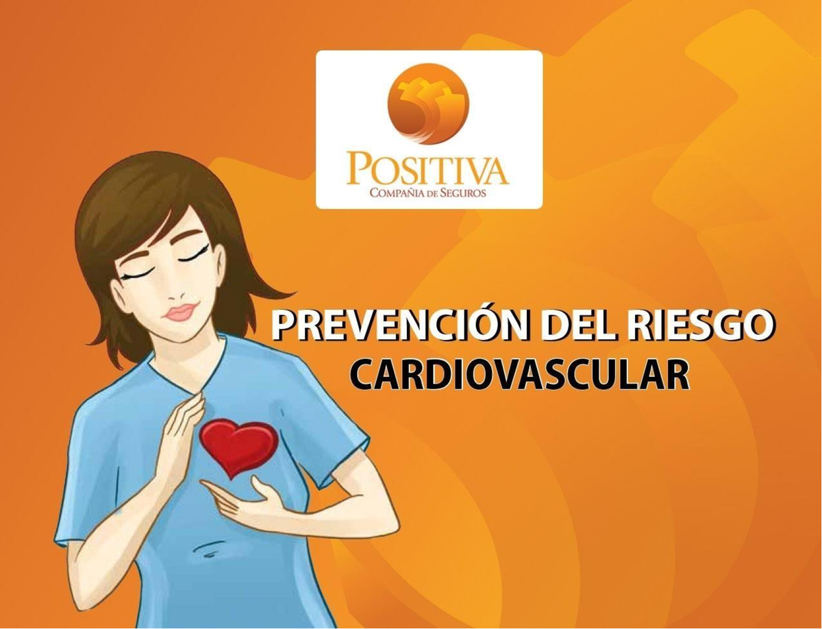 Prevencion Riesgo Cardiovascular - Anatomía El Sistema Cardiovascular ...