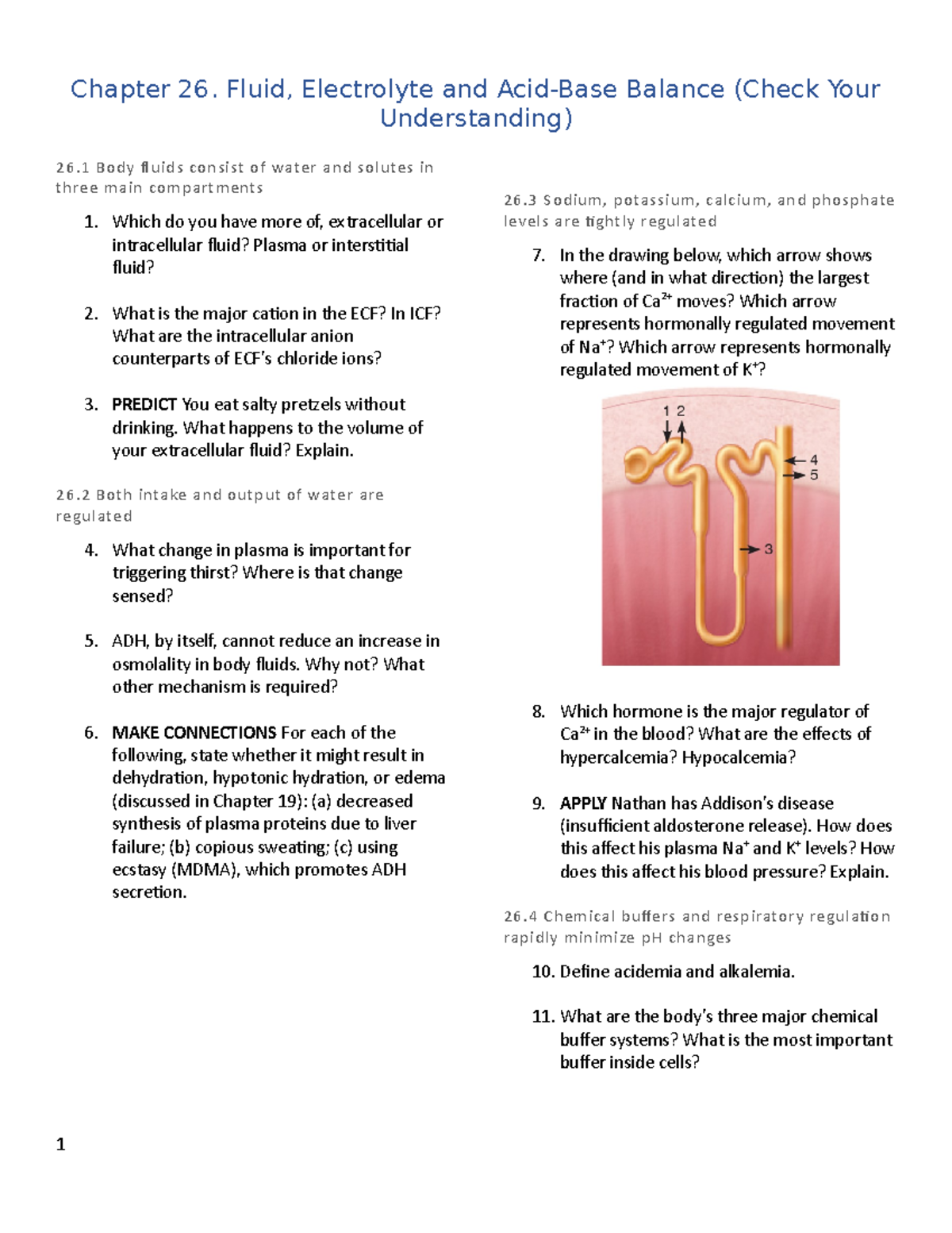 BIOM1060 Textbook - Check Your Understanding (Chap. 26) - Chapter 26 ...