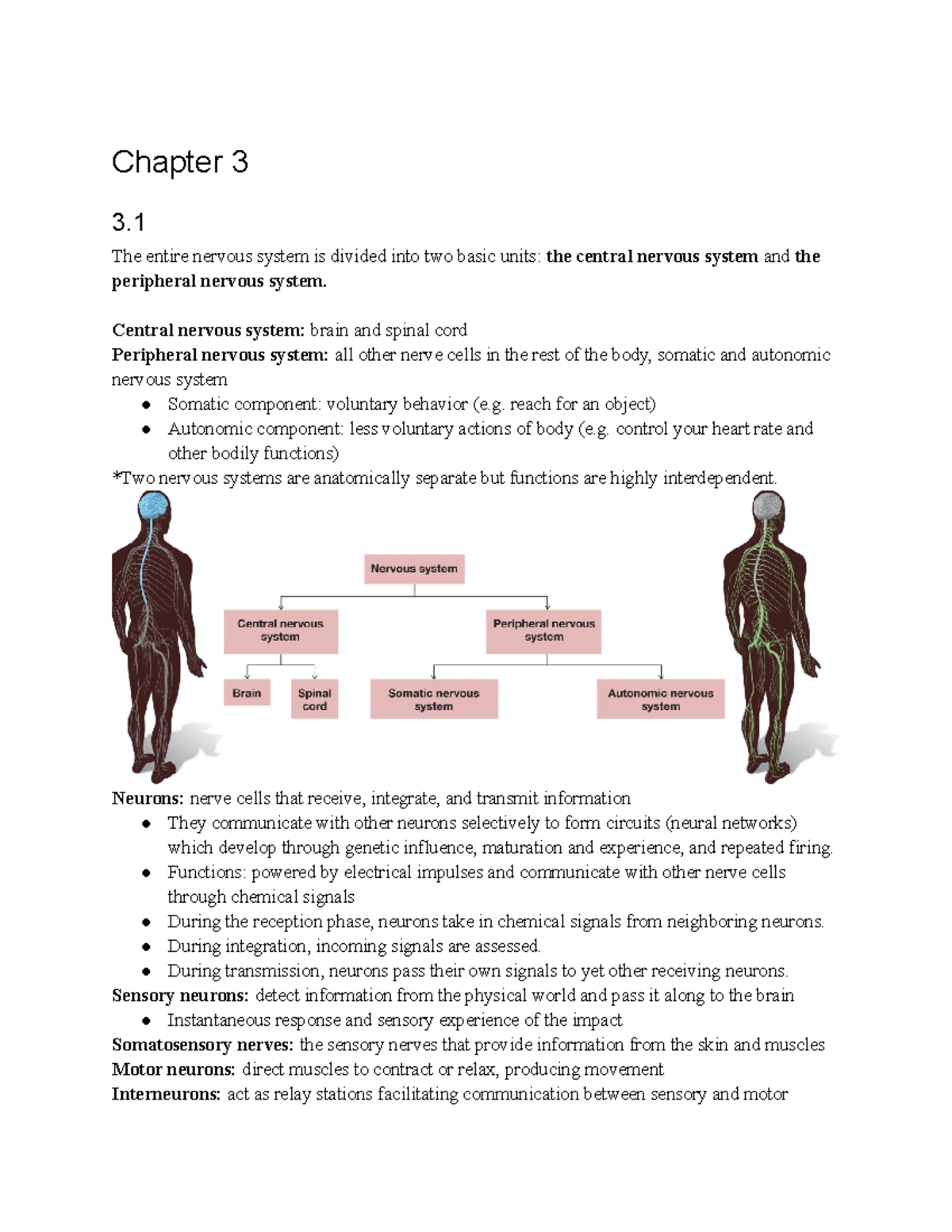 PSYC0001 Textbook Note - Chapter 3 3. The Entire Nervous System Is ...