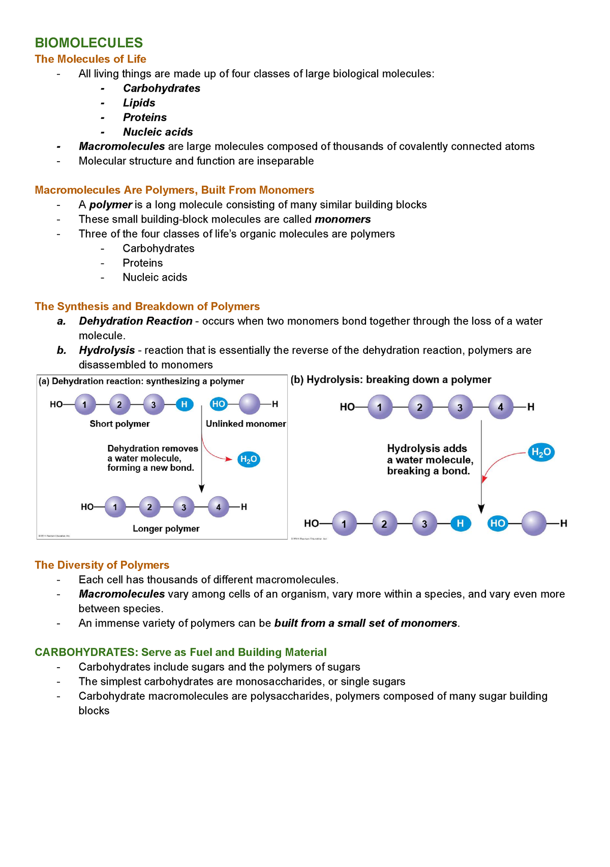 Gen Bio Biomolecules Biomolecules The Molecules Of Life All Living Things Are Made Up Of