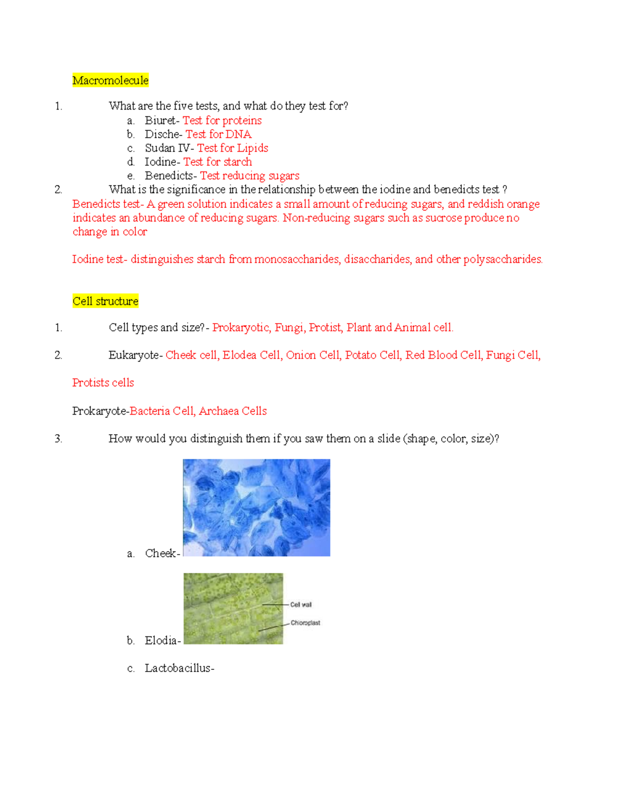 bio-lab-reveiw-1-bio-macromolecule-what-are-the-five-tests-and