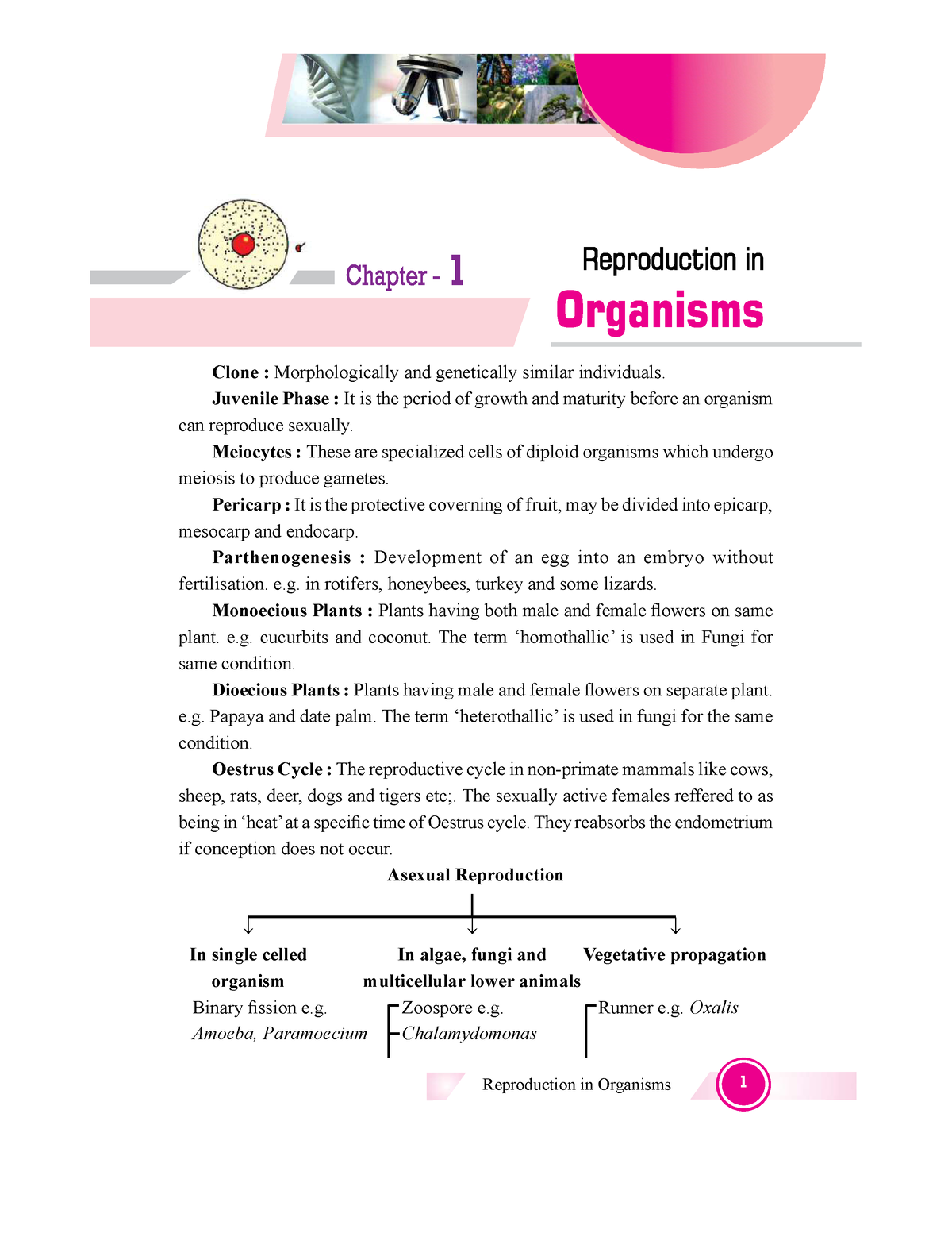 Reproduction in Organisms - Juvenile Phase : It is the period of growth ...