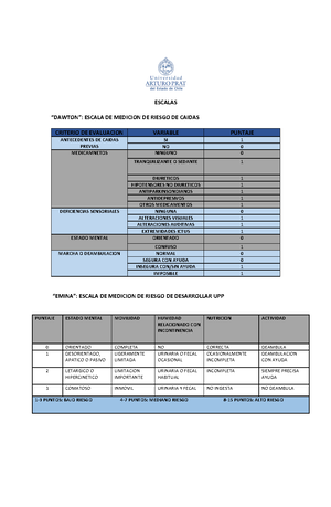 Formato+ Actualizado+PAE+2019 - UNIVERSIDAD ARTURO PRAT CARRERA DE ...