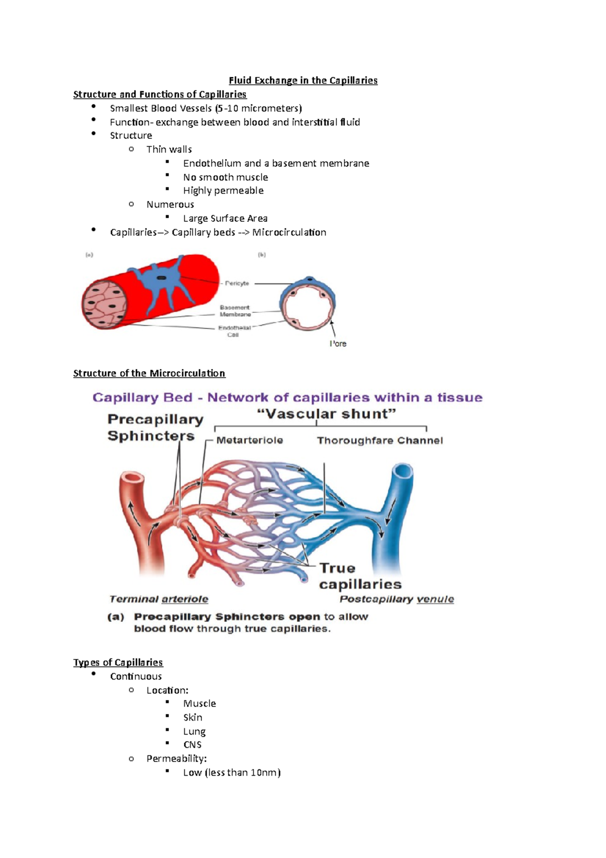 Fluid Exchange in the Capillaries - Fluid Exchange in the Capillaries ...