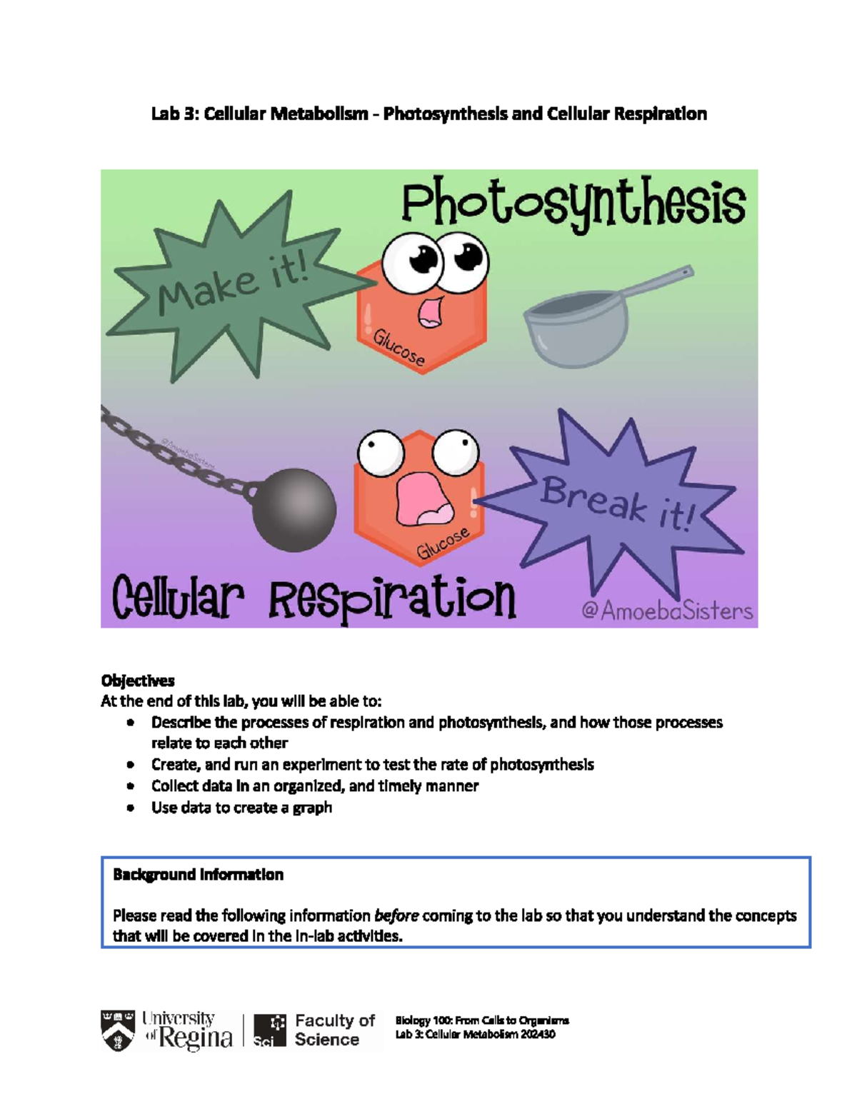BIOL 100 Lab 3 guide - biology lab - Lab 3: Cellular Metabolism ...