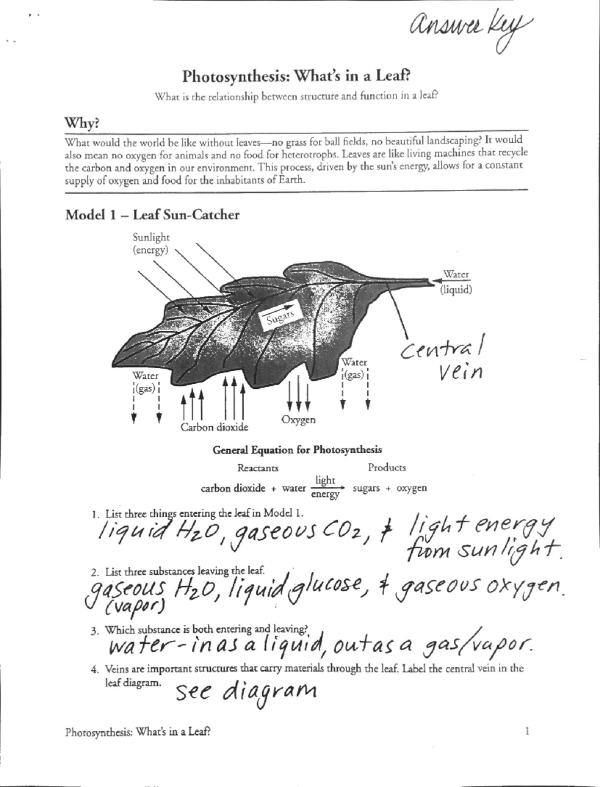 Photosynthesis review packet complete w answers 1 - Studocu