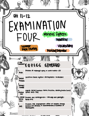 Anatomy and Physiology Notes - Anatomy and Physiology Chapter 1 - The ...