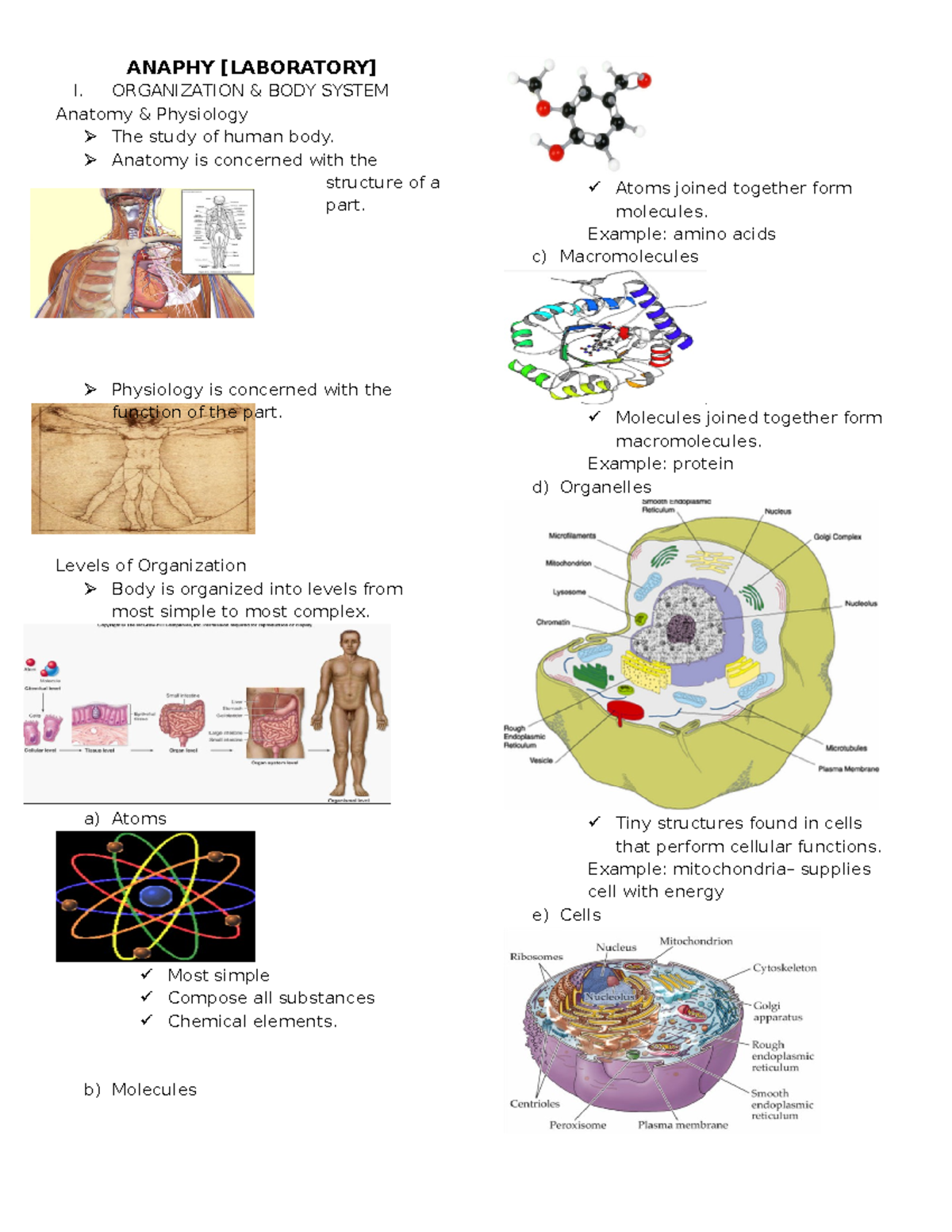 Anaphy Reviewer - Goodluck - ANAPHY [LABORATORY] I. ORGANIZATION & BODY ...