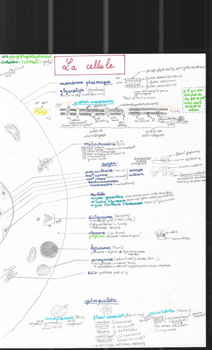 TP1 Biocell - Biologie Cellulaire - Studocu